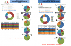 38 Thousand Patients Attended Dary Human Medical Clinic and Health Centers During the Last Four Months