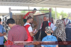 منظمة داري توزع (430) سلة صحية للمهجرين بمنطقة المشتل ببغداد
